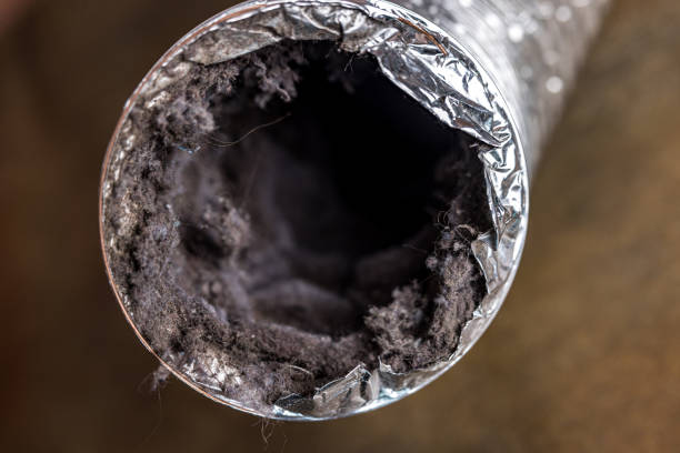 Best Air Duct Cleaning Near Me  in Trinity, FL